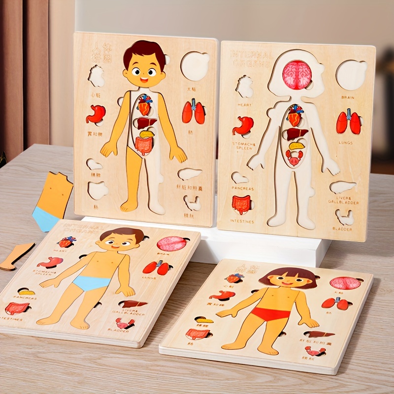 Human Body Puzzle - Menselijk Lichaam Puzzels Voor Kinderen Houten