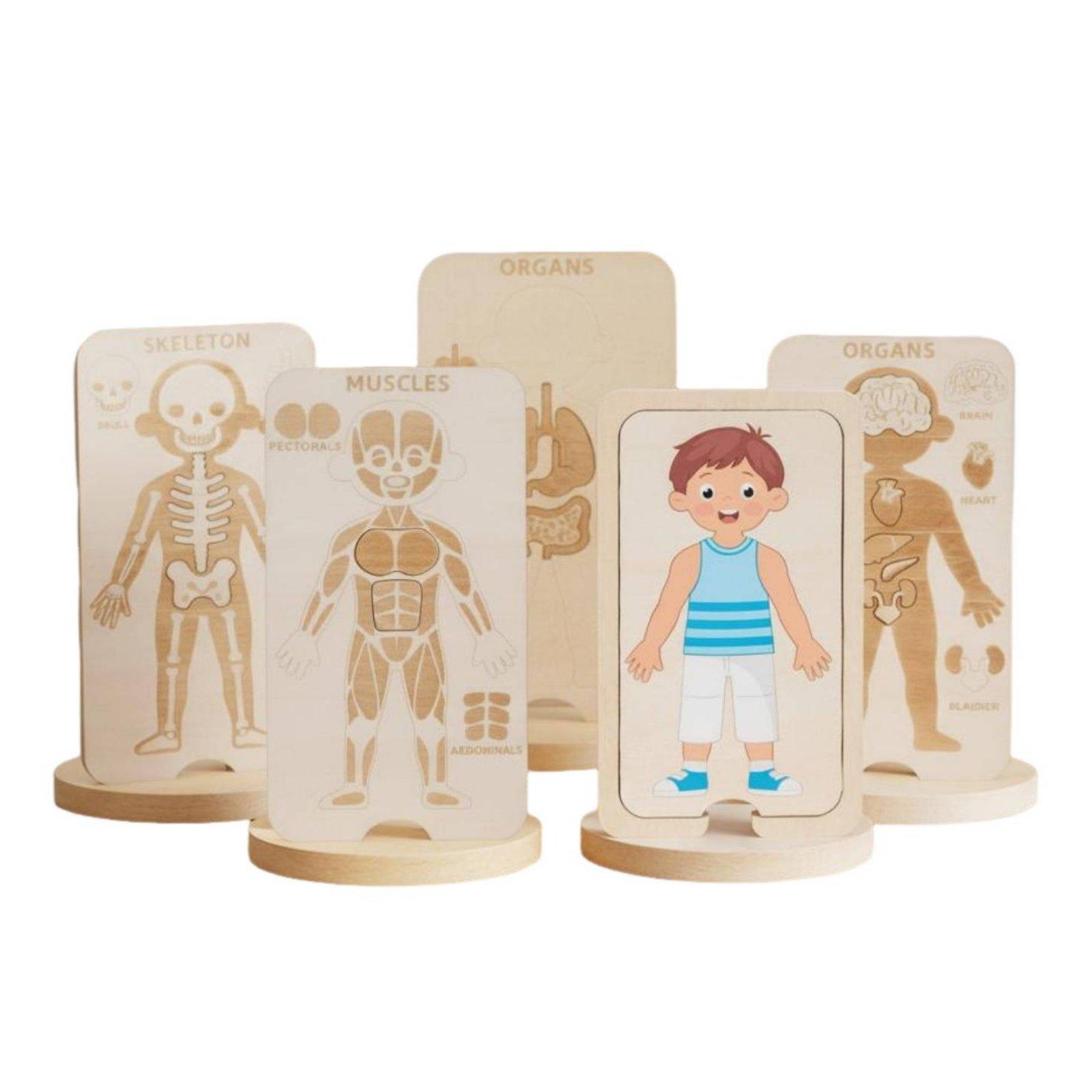 Educatieve houten puzzel voor  - Human Body Puzzle recensie en prijs