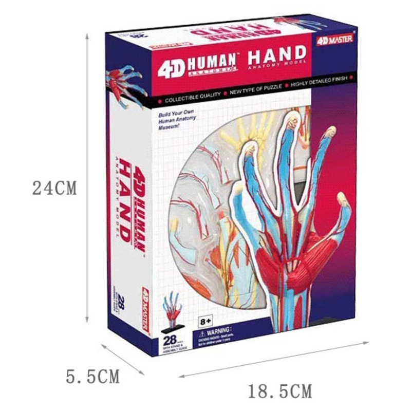 4d Master Menselijke Hand Bots - Human Body Puzzle recensie en prijs