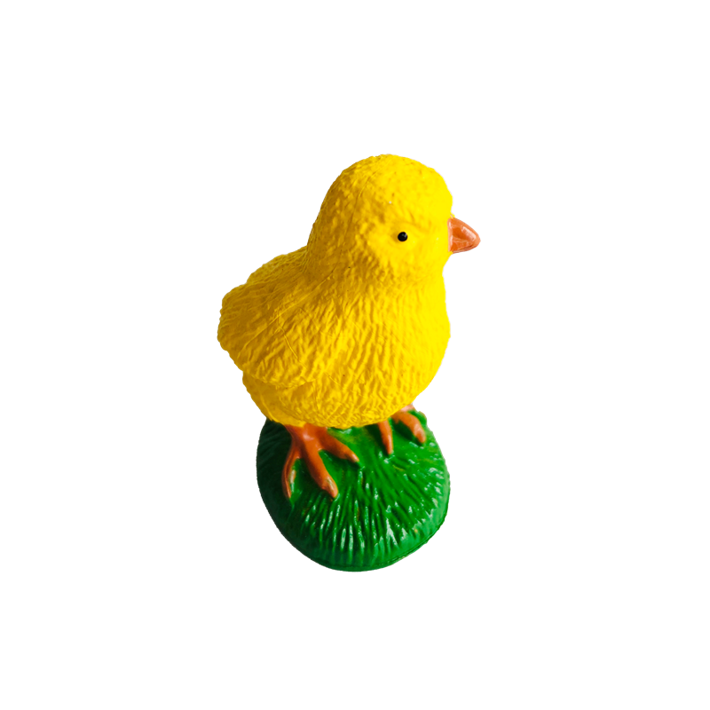 Levenscyclus Dieren Kaarten en - Kids Education Material recensie en prijs
